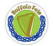 Buffalo Feis 2016 logo
