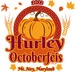 Hurley School Feis 2022 logo