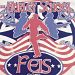 Hurley School Feis 2016 logo