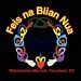 Feis Na Blain Nua 2017 logo