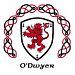 O'Dwyer Step into Fall Feis 2022 logo