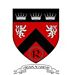 O'Riain Academy Feis 2021 logo