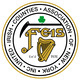 United Irish Counties Feis 2025